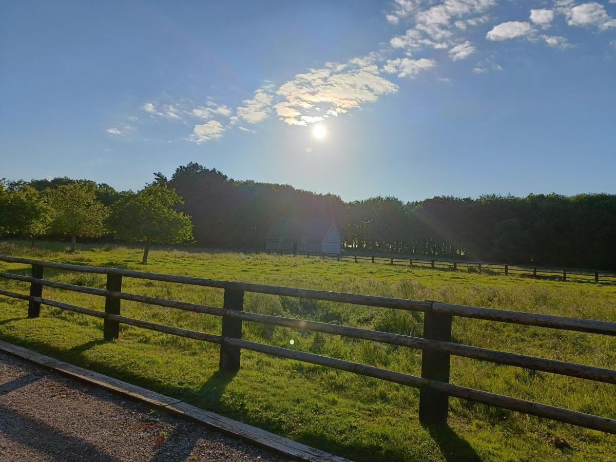 Domaine De Janville Paluel 外观 照片